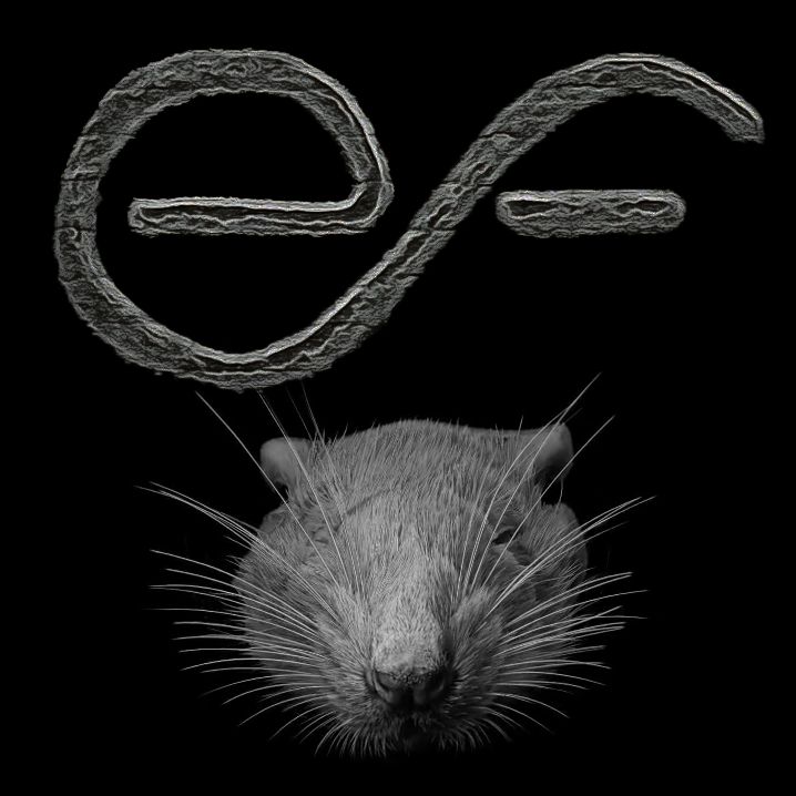 Lab Rat