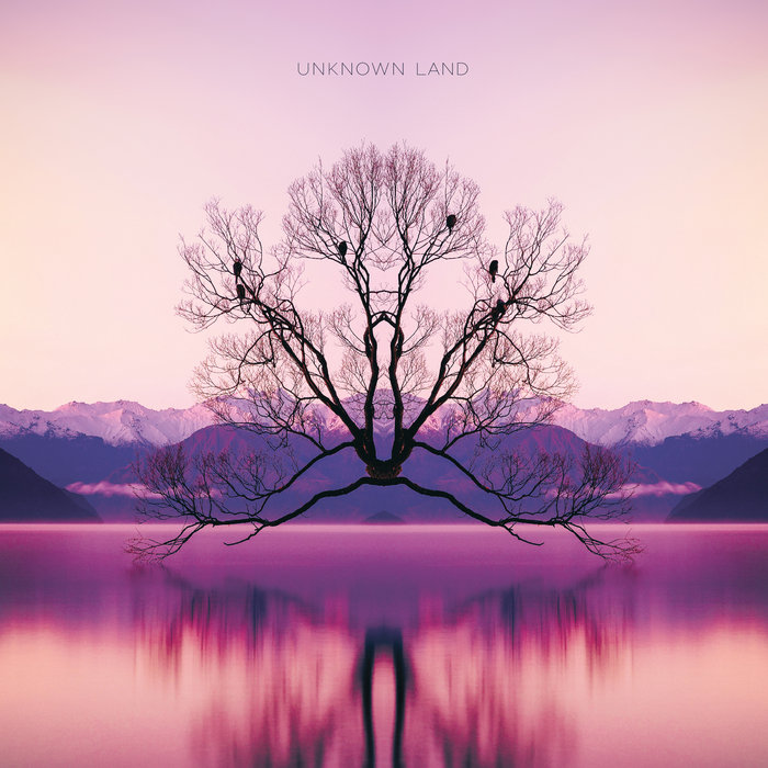 unknown-land-moonlight